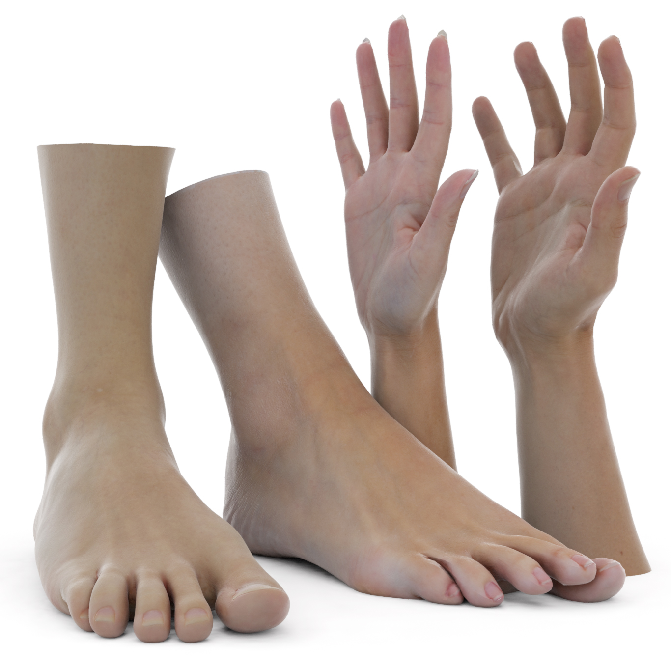 MaleandFemaleHandsAndFeetPack